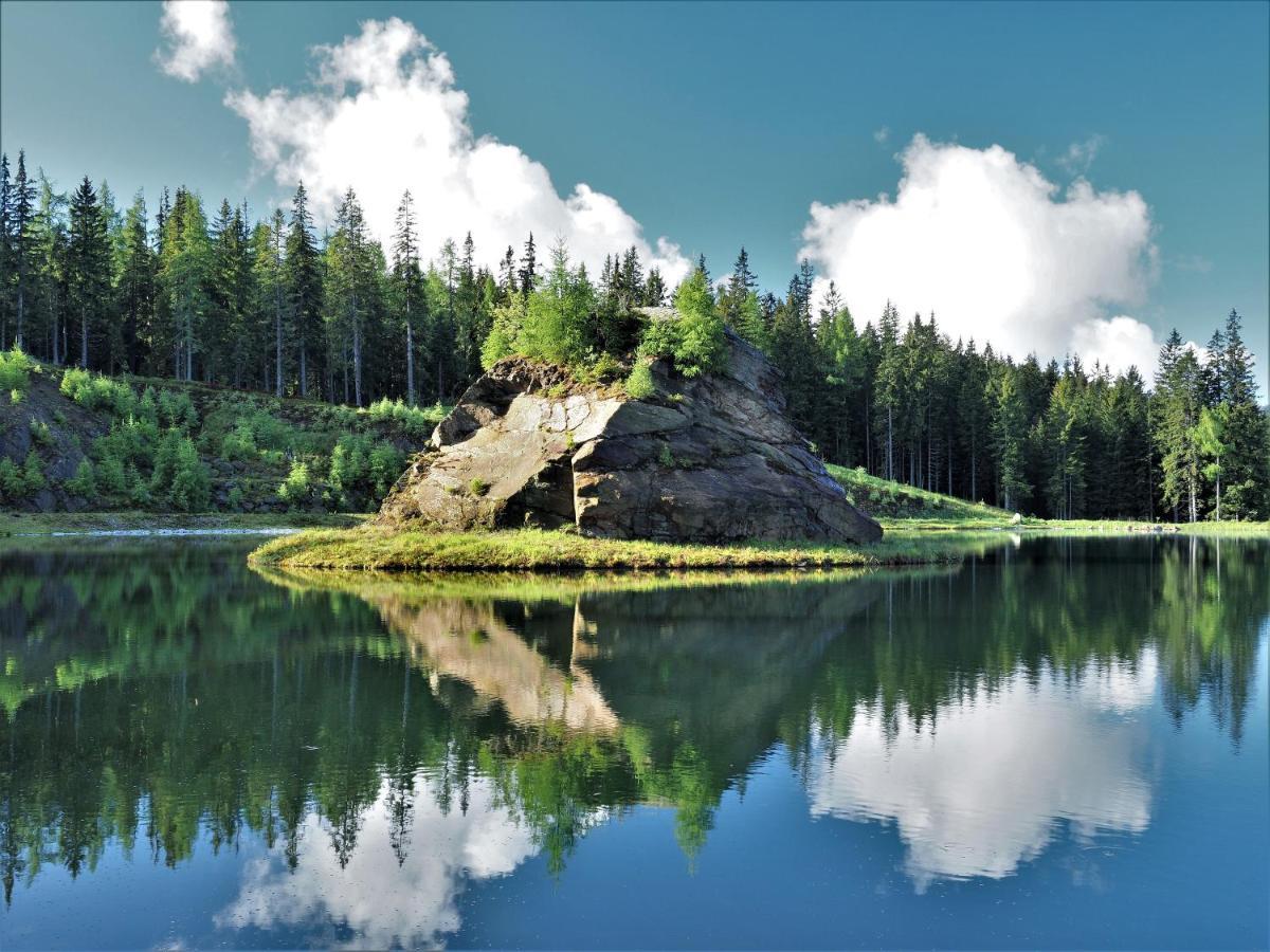Naturforsthaus Gartenblick Fuer Hunde - Und Naturverbundene Menschen Preitenegg Luaran gambar