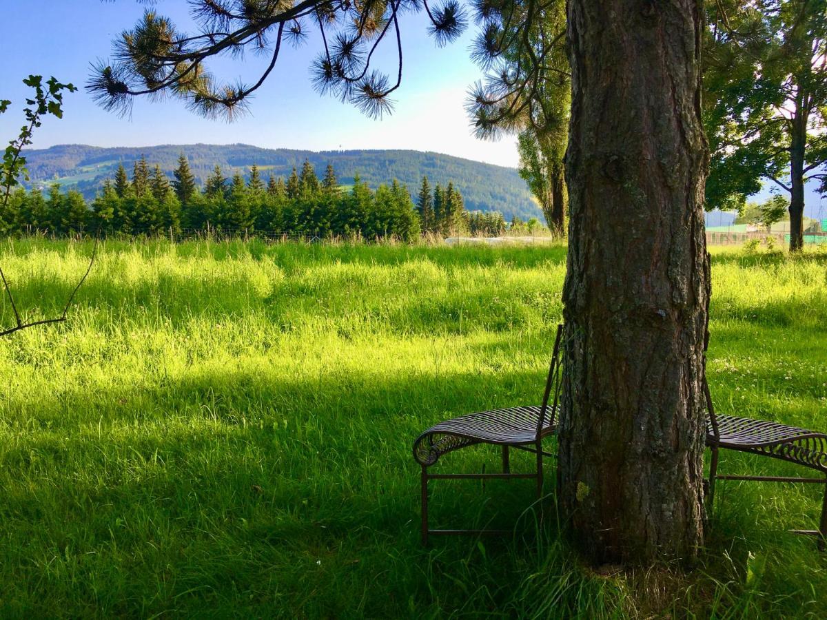 Naturforsthaus Gartenblick Fuer Hunde - Und Naturverbundene Menschen Preitenegg Luaran gambar