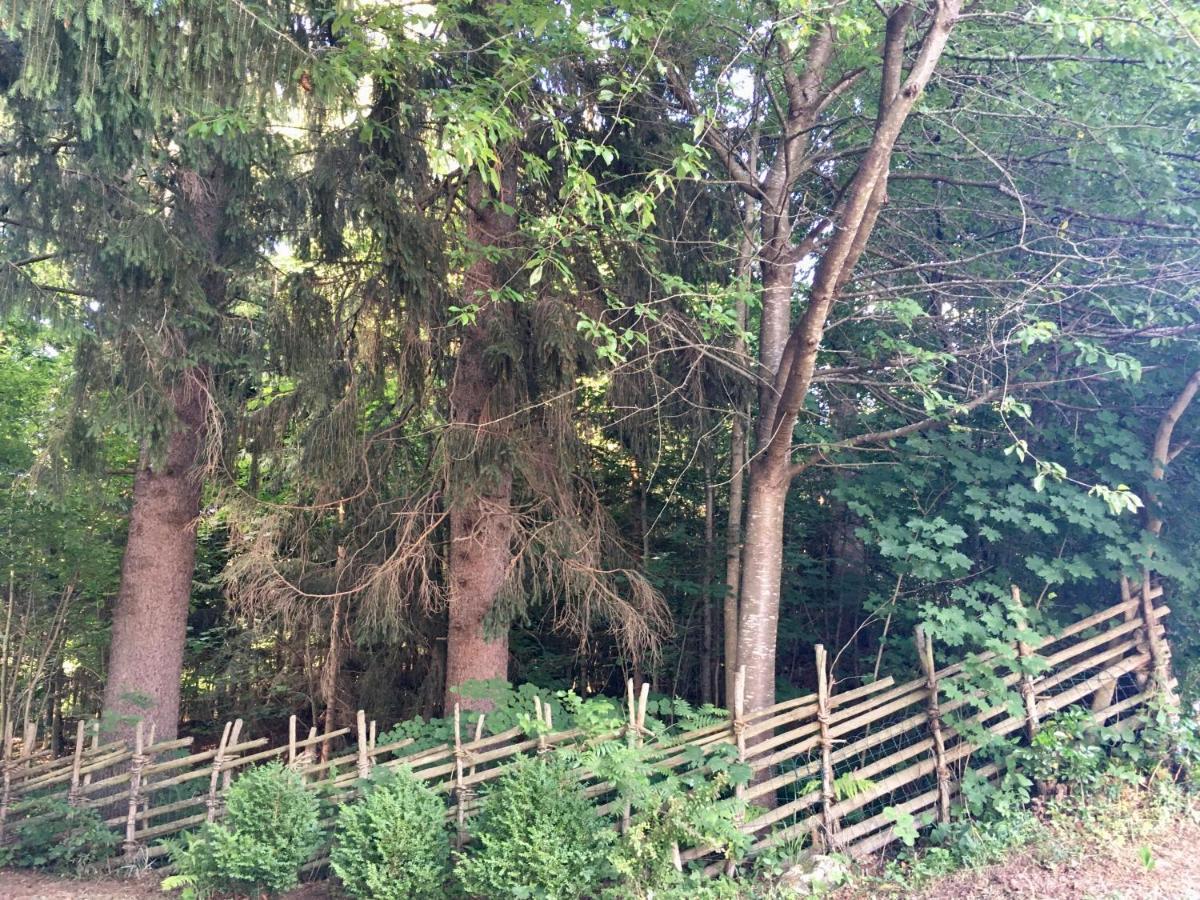 Naturforsthaus Gartenblick Fuer Hunde - Und Naturverbundene Menschen Preitenegg Luaran gambar