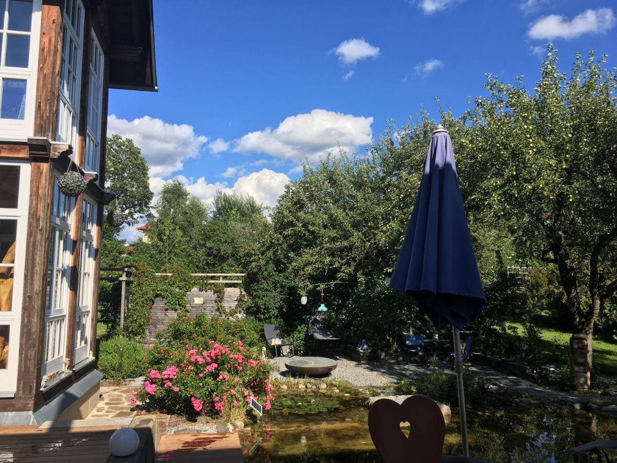 Naturforsthaus Gartenblick Fuer Hunde - Und Naturverbundene Menschen Preitenegg Luaran gambar