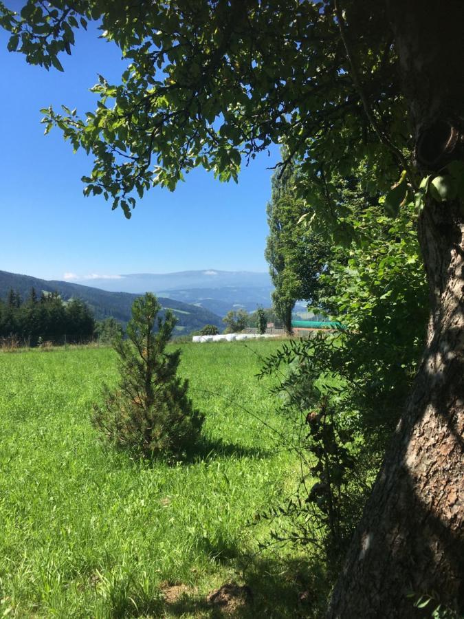 Naturforsthaus Gartenblick Fuer Hunde - Und Naturverbundene Menschen Preitenegg Luaran gambar