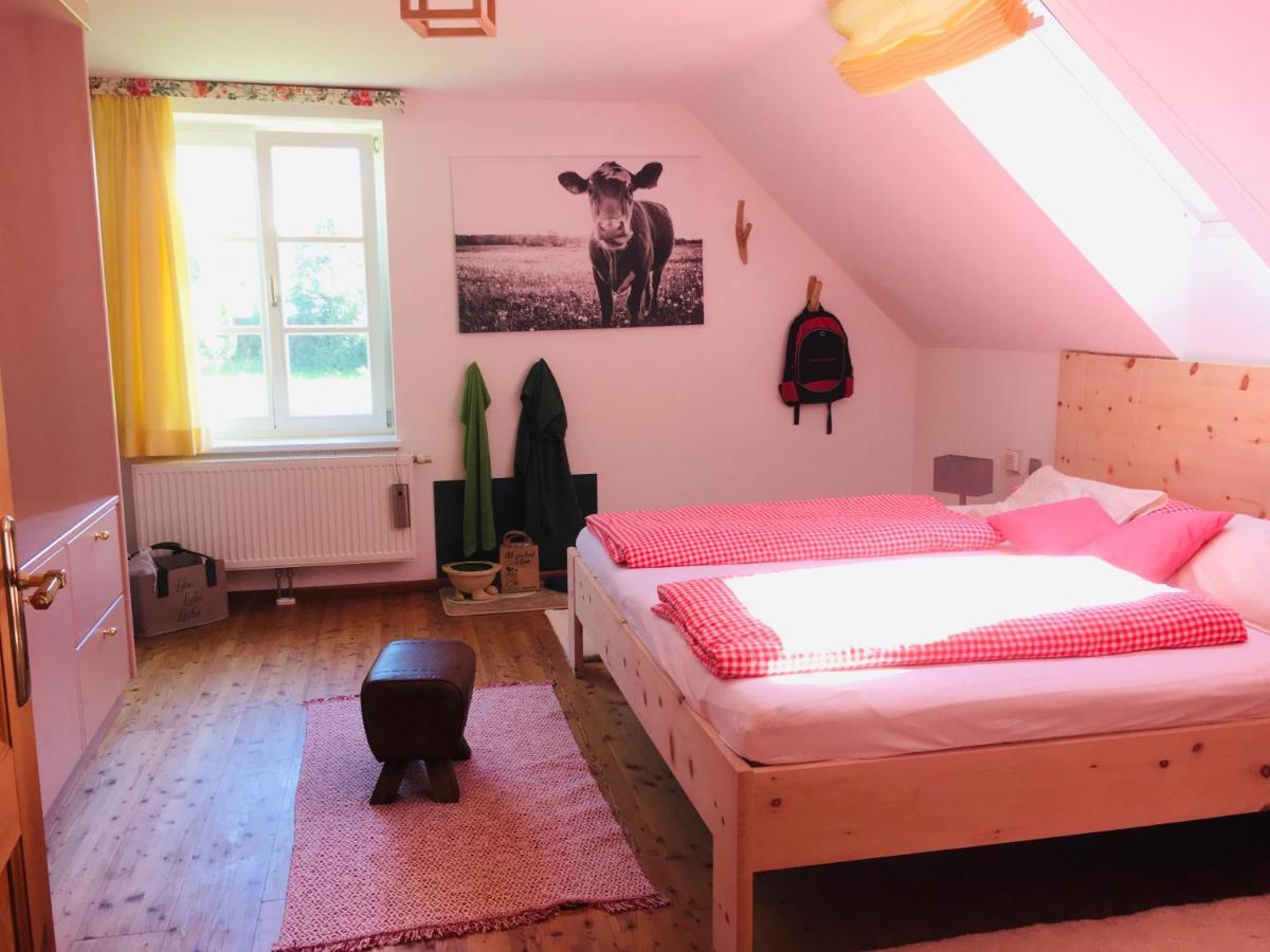 Naturforsthaus Gartenblick Fuer Hunde - Und Naturverbundene Menschen Preitenegg Luaran gambar