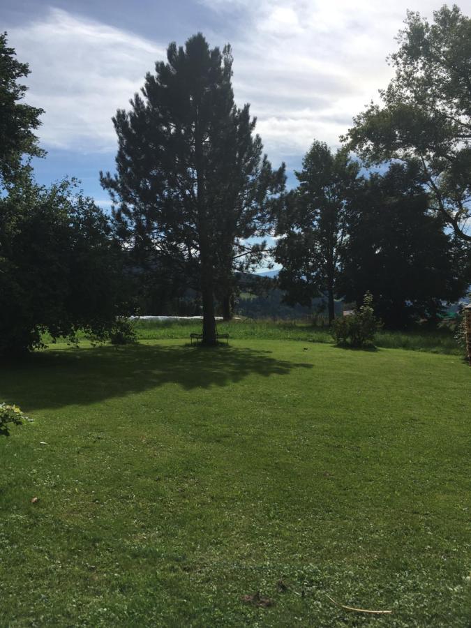 Naturforsthaus Gartenblick Fuer Hunde - Und Naturverbundene Menschen Preitenegg Luaran gambar
