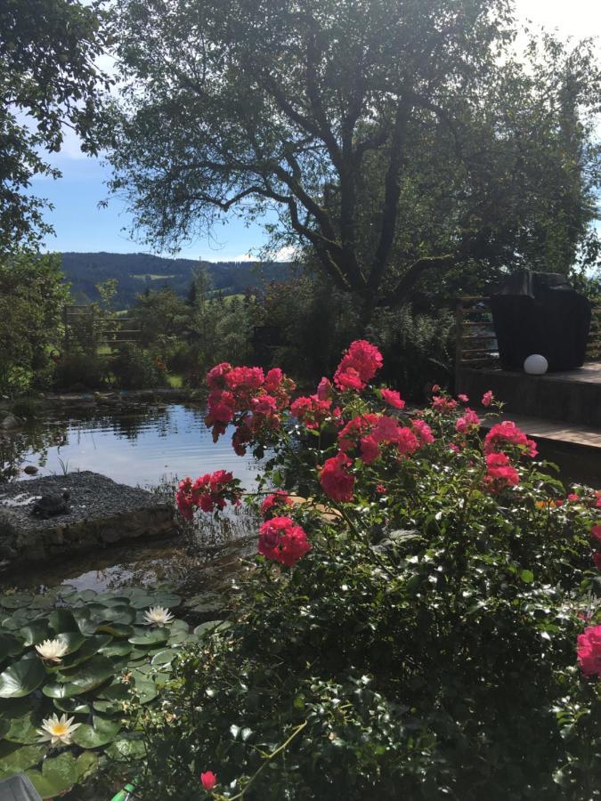 Naturforsthaus Gartenblick Fuer Hunde - Und Naturverbundene Menschen Preitenegg Luaran gambar