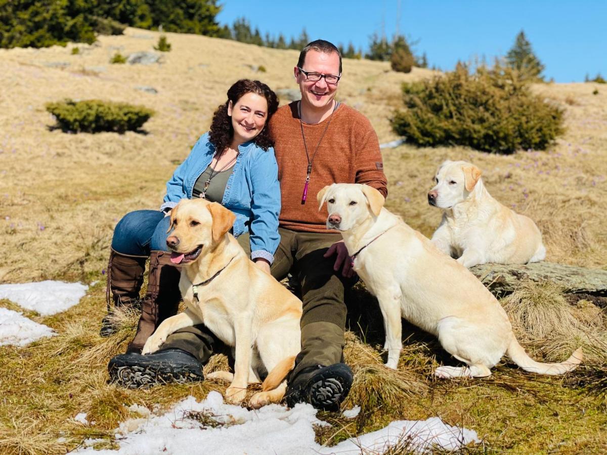 Naturforsthaus Gartenblick Fuer Hunde - Und Naturverbundene Menschen Preitenegg Luaran gambar